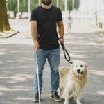 A blind man with a white cane and guide dog walking outside on a sunny day.